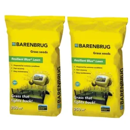 trawa-samozageszczajaca-barenbrug-resilient-blue-10-kg-odporna-na-deptanie