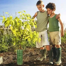 6x-oslonka-ochronna-na-pienki-drzew-ochraniacz-drzewek-obrzeze-oslona-pnia