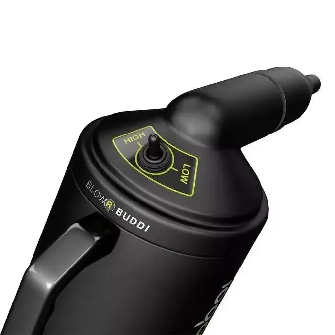 bigboi-blowr-buddi-stan-nowy