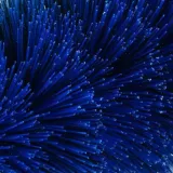 ez-detail-brush-mini-33cm-stan-nowy-kod-producenta-3001