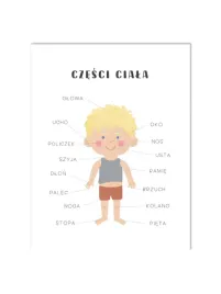 plakat-edukacyjny-rozne-rodzaje-alfabet-ziemia-mnozenie-mapa-dni-40x30-cm
