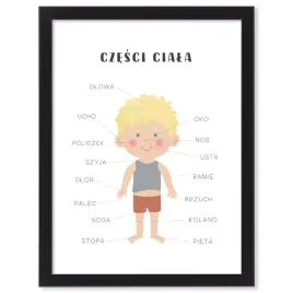 czesci-ciala-obraz-edukacyjny-w-ramce-dla-dzieci-nauka-40x30-cm