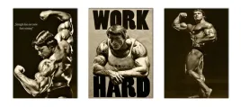 plakat-tryptyk-arnold-schwarzenegger-kulturysta-silownia-3-sztuki-70x50-cm