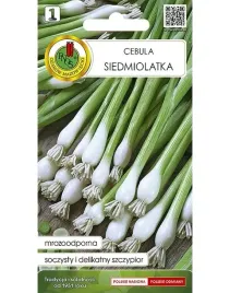 cebula-siedmiolatka-wita-nasiona-2g-mrozoodporna-delikatny-smak-szczypiorku