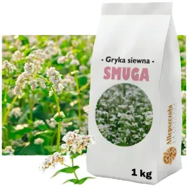 gryka-siewna-smuga-roslina-miododajna-1kg-gatunek-i-nasiona