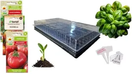 zestaw-do-wysiewu-inspekt-miniszklarenka-160-pomidory-nasiona-tabliczki-5