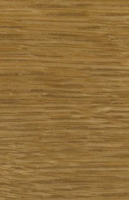 bejca-nitro-brunat-22-10-poj-2l