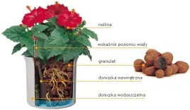 hydroponika-zestaw-wklad-28-19-wskaznik-h19