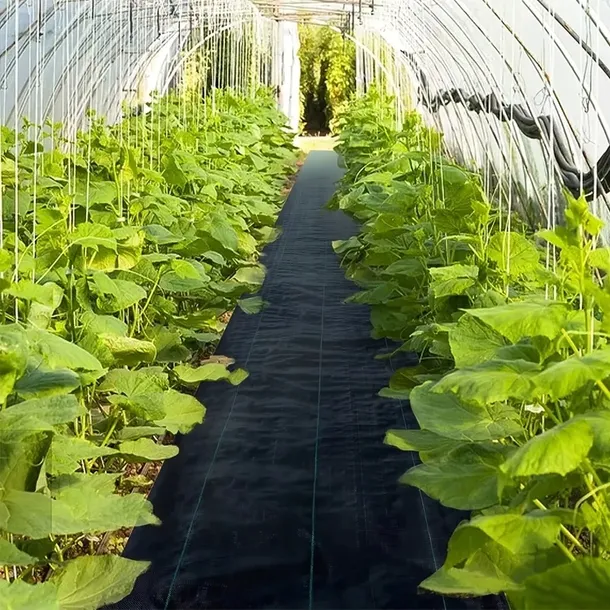 agrowloknina-agrotkanina-16-x-50m-uv-90g-na-chwasty-solidna-czarna-mata-dlugosc-dluzszy-bok-5000-cm