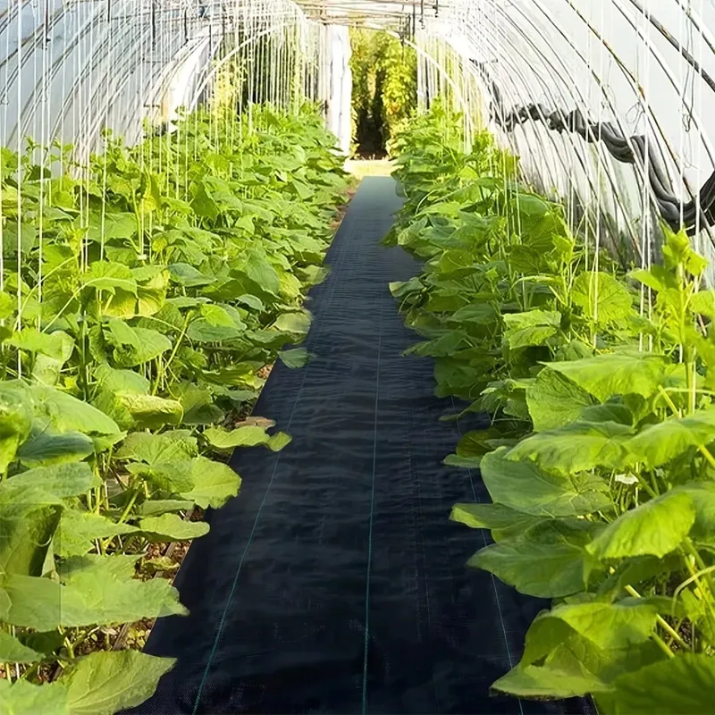 agrowloknina-agrotkanina-16-x-50m-uv-90g-na-chwasty-solidna-czarna-mata-stan-nowy