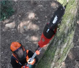 pilarka-pila-lancuchowa-elektryczna-na-wysiegniku-hecht-971w-9750-dl-2-28m