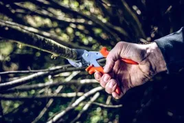 sekator-reczny-lowe-10-107-do-grubych-galezi-ogrodowy-kowadelkowy-30mm