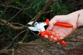 sekator-lowe-5-107-ergonomiczna-raczka