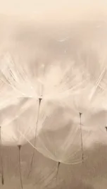 tapeta-dmuchawce-winylowa-na-flizelinie-grandeco-bezowa-wys-280x159