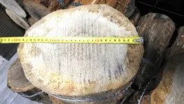 pniak-klodka-pieniek-podstawa-do-rabania-drewna