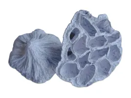 lotos-maly-bialy-kwiat-lotosu-susz-egzotyczny-dekoracyjny-ozdobny-10-sztuk