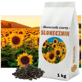 slonecznik-czarny-ziarno-przedplon-poplon-roslina-miododajna-1kg