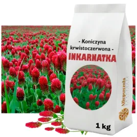 koniczyna-krwistoczerwona-c1-roslina-miododajna-1kg-gatunek-i-kwalifikat