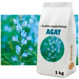 lubin-waskolistny-slodki-agat-c1-roslina-miododajna-1kg-gatunek-kwalifikat