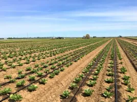 linia-kroplujaca-16mm-100m-z-kompensacja-87-akcesoriow-super-waz-mocna