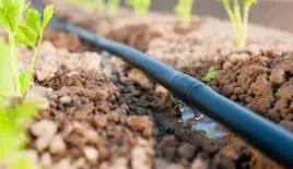 linia-kroplujaca-50m-50-szpilek-100-akcesoriow