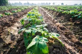 linia-kroplujaca-nawodnienie-kropelkowe-90-el-waz-kropelkujacy-mocny