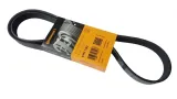 pasek-wielorowkowy-citroen-berlingo-jumpy-1-6-hdi