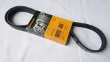 pasek-wielorowkowy-citroen-berlingo-jumpy-1-6-hdi-stan-nowy
