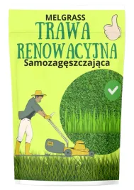trawa-nasiona-renowacyjna-samozageszczajaca-dosiewka-traw-wieloletnia-85kg