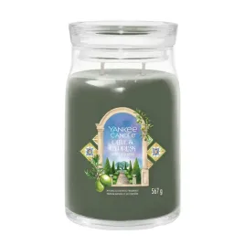 yc-signature-swieca-duza-olive-and-cypress