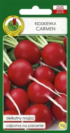 rzodkwie-i-rzodkiewki-okragla-czerwona-bardzo-plenna-nasiona-10-g