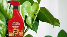 substral-polysect-srodek-oprysk-mszyce-przedziorki-welnowce-maczliki-750ml