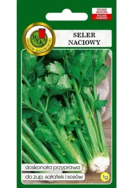 seler-naciowy-verde-pascal-nasiona-1g-bogaty-w-witamine-c