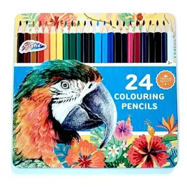 kredki-olowkowe-kolorowe-24-szt-metalowy-box-szkolne-grafix-wzor-papuga