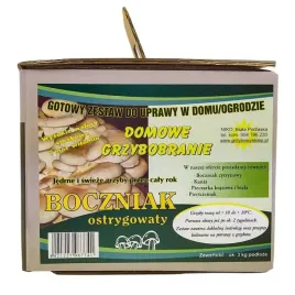 boczniak-boczniaki-balot-grzybnia-uprawa-w-domu-zywa-grzybnia-2-kartony