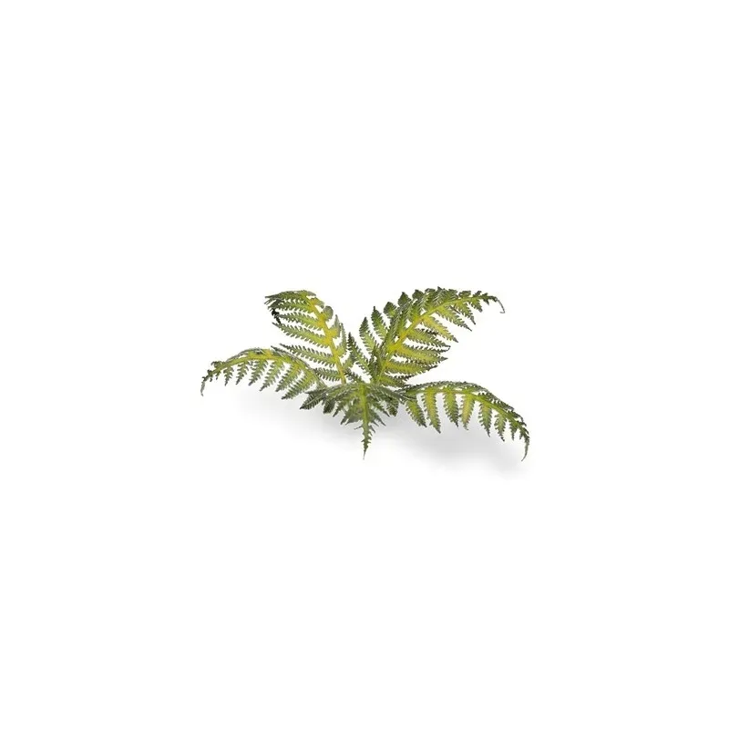 gamers-grass-laser-plants-bracken-paproc