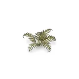 gamers-grass-laser-plants-bracken-paproc-marka-gamersgrass