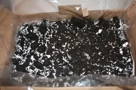 grzybnia-pieczarki-bialej-podloze-do-uprawy-najwieksza-kostka