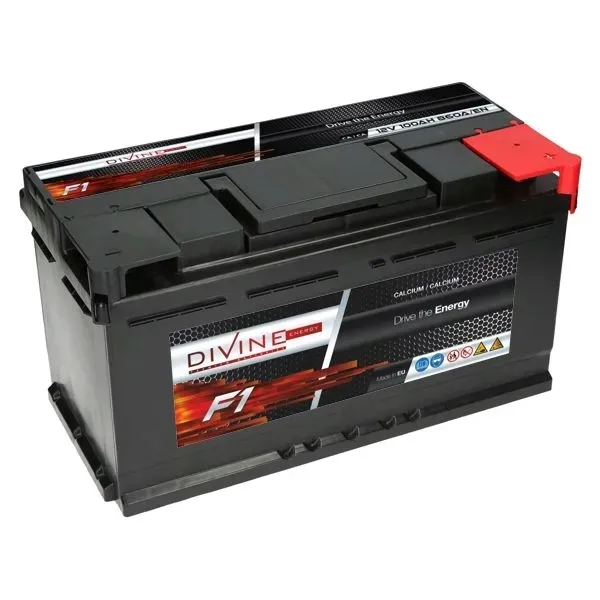 Akumulator Divine F1 SMF 12V 100Ah 860A (EN) P+ - 21Kg