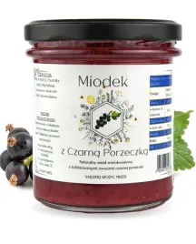 miod-z-czarnej-porzeczki-miodek-z-czarna-porzeczka-415g