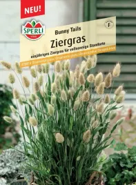 trawa-ozdobna-bunny-tails-nasiona-premium-sperli