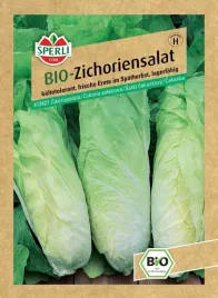 bio-cykoria-salatowa-zuckerhut-nasiona-premium-sperli
