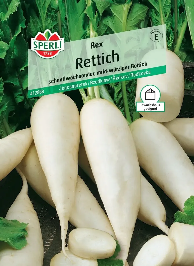 rzodkiew-rex-nasiona-premium-sperli