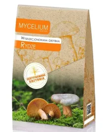 rydze-zywa-grzybnia-mleczj-rydz-120ml