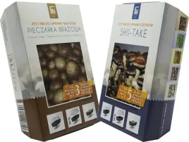 pieczarka-brazowa-3l-shiitake3l-podloze-grzybnia