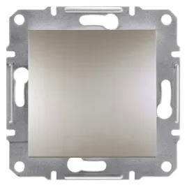 schneider-asfora-lacznik-pojedynczy-1-biegunowy-bez-ramki-kontakt-braz