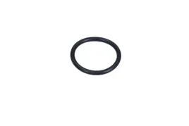 oring-korka-wlewu-skrzyni-dw6-renault-321997373r