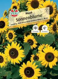 slonecznik-waooh-nasiona-premium-sperli