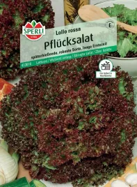 wybierz-salate-lollo-rossa-nasiona-premium-sperli