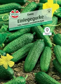 ogorek-siewny-conny-nasiona-premium-sperli